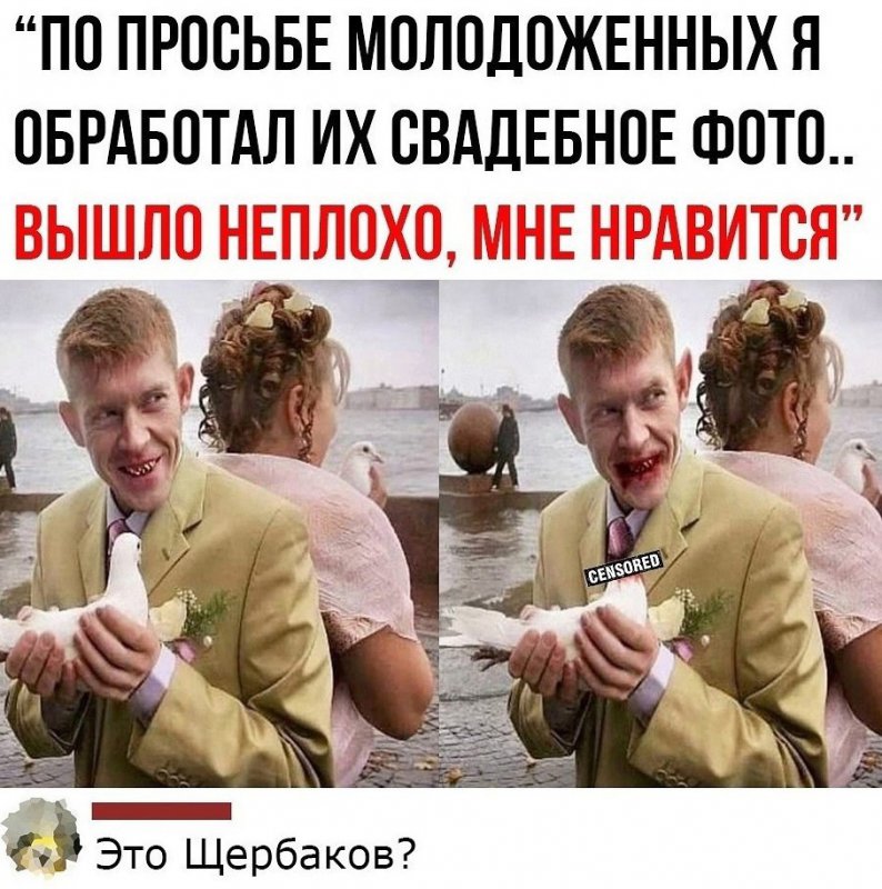Обработал фото, где жених откусил голову голубю