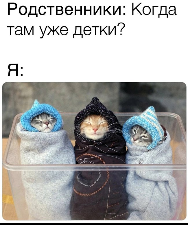 Хочат внуков, запеленай котиков