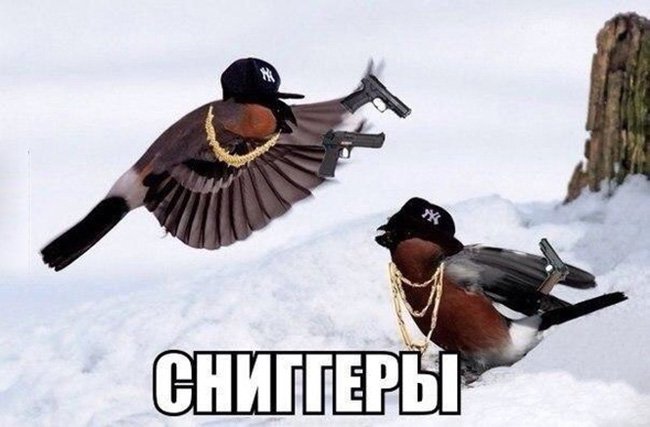 Снигери как ниггери в цепях и пистолетах