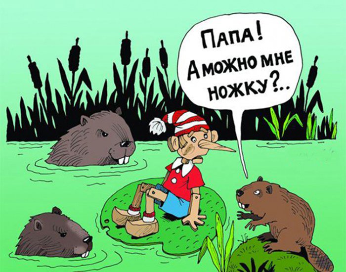 Бобёр хочет ножку буратино