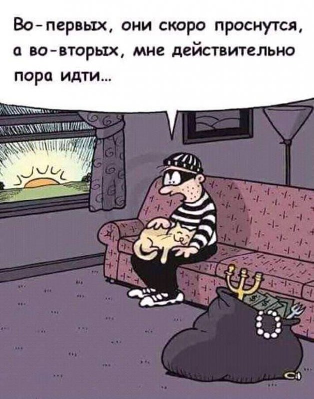 Кот прилёг на колени к грабителю