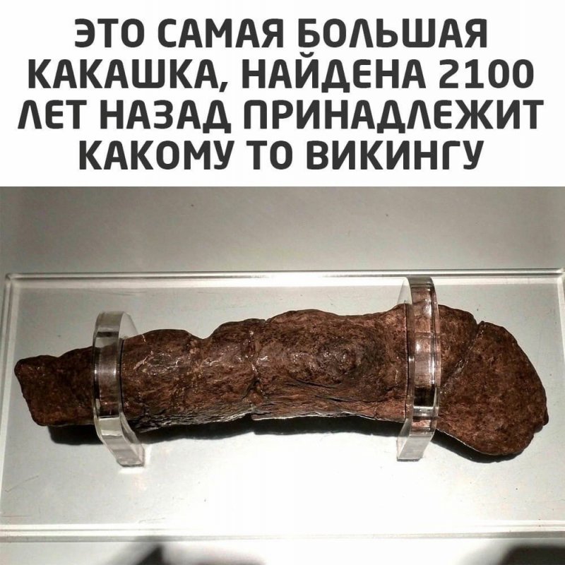 Эта какашка принадлежит какому-то викингу
