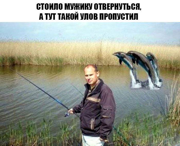 Мужик на рыбалке, а рядом дельфины