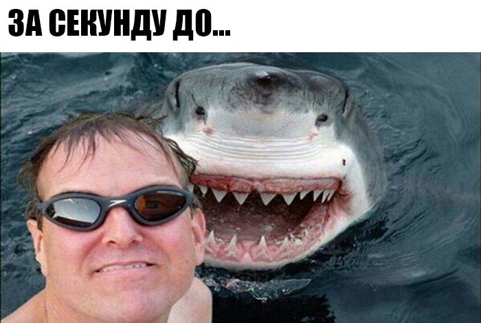 Мужик делает селфи с акулой на заднем плане